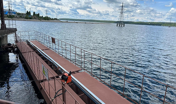 Росрыболовство подтвердило эффективность рыбозащитного комплекса на Воронежской ТЭЦ-1